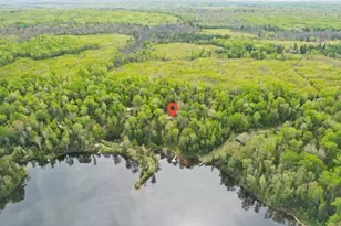 1537 S Little Stone Lake Rd, Brimson, MN 55602 - Photo 27