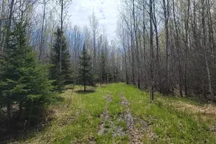 80X Sled Dog Trail, Hovland, MN 55606 - Photo 1