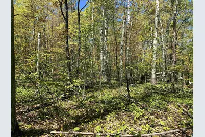 Lot 5 Blue Wing Bay Rd, Bayfield, WI 54814 - Photo 9