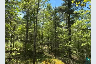 5049 Big Lake Rd, Ely, MN 55731 - Photo 11