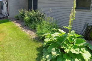 6423 Little Marais Rd, Little Marais, MN 55614 - Photo 57