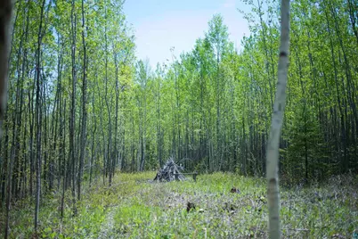 13 Coyote Ridge, Grand Marais, MN 55604 - Photo 25