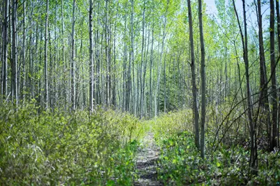 13 Coyote Ridge, Grand Marais, MN 55604 - Photo 3