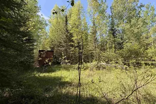 9685 Gunflint Trail, Grand Marais, MN 55604 - Photo 1