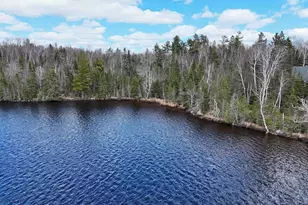 10097 Sister Lake Rd, Finland, MN 55616 - Photo 19