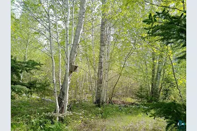 44 Lodge Ln, Lutsen, MN 55612 - Photo 35