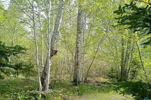 44 Lodge Ln, Lutsen, MN 55612 - Photo 35
