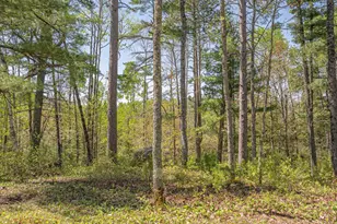 4151 Mud Creek Rd, Ely, MN 55731 - Photo 79