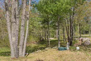 4151 Mud Creek Rd, Ely, MN 55731 - Photo 77