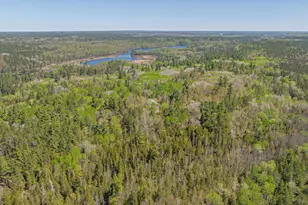 4151 Mud Creek Rd, Ely, MN 55731 - Photo 89