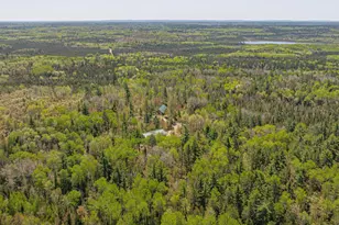 4151 Mud Creek Rd, Ely, MN 55731 - Photo 87