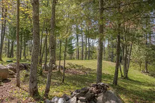 4151 Mud Creek Rd, Ely, MN 55731 - Photo 75