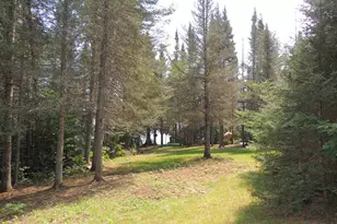 38 Christine Point Rd, Lutsen, MN 55612 - Photo 43