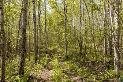 4239 S Lyman Lake Rd, South Range, WI 54874 - Photo 45