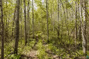 4239 S Lyman Lake Rd, South Range, WI 54874 - Photo 45