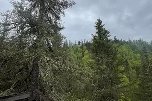 7442 Cramer Rd, Finland, MN 55603 - Photo 25