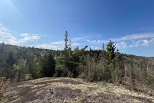 7442 Cramer Rd, Finland, MN 55603 - Photo 35