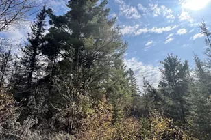 7442 Cramer Rd, Finland, MN 55603 - Photo 39