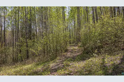 4304 Mud Creek Rd, Ely, MN 55731 - Photo 83