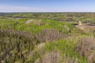 4304 Mud Creek Rd, Ely, MN 55731 - Photo 91