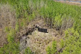 4304 Mud Creek Rd, Ely, MN 55731 - Photo 73
