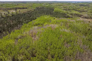 4304 Mud Creek Rd, Ely, MN 55731 - Photo 87