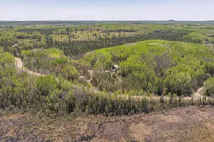 4304 Mud Creek Rd, Ely, MN 55731 - Photo 85