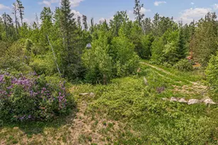 14575 Jackpine Trl, Ely, MN 55731 - Photo 39