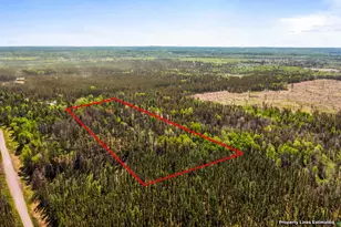 22Xx Elo Rd, Brimson, MN 55602 - Photo 31