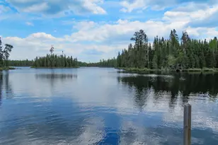 48 Wolf Point Trail, Grand Marais, MN 55604 - Photo 51