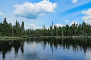 48 Wolf Point Trail, Grand Marais, MN 55604 - Photo 57