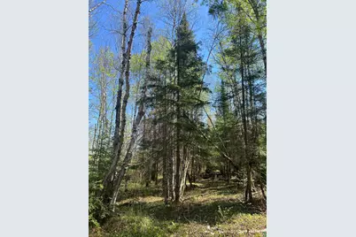 Xxx Moose Ridge Rd, Isabella, MN 55607 - Photo 11