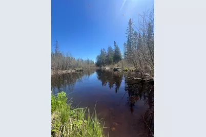 Xxx Moose Ridge Rd, Isabella, MN 55607 - Photo 3