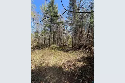 Xxx Moose Ridge Rd, Isabella, MN 55607 - Photo 9