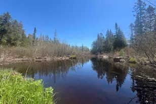 Xxx Moose Ridge Rd, Isabella, MN 55607 - Photo 1