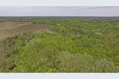 Tbd Muckwa Lake Rd, Babbitt, MN 55706 - Photo 31
