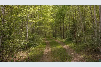 Tbd Muckwa Lake Rd, Babbitt, MN 55706 - Photo 53