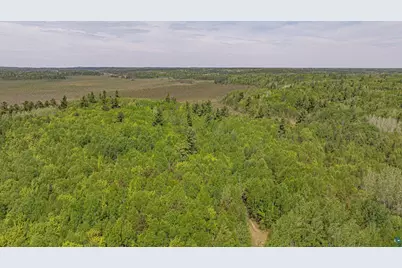 Tbd Muckwa Lake Rd, Babbitt, MN 55706 - Photo 33