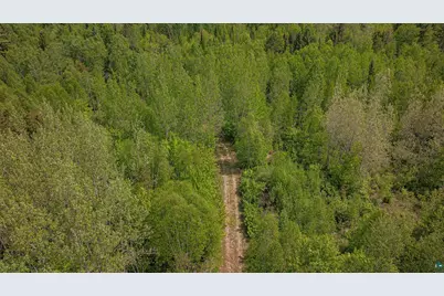Tbd Muckwa Lake Rd, Babbitt, MN 55706 - Photo 43