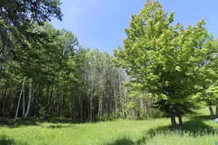 36945 State Hwy 13, Bayfield, WI 54814 - Photo 13
