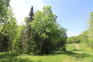 36945 State Hwy 13, Bayfield, WI 54814 - Photo 3