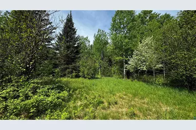 Tbd-B Hwy 169, Virginia, MN 55792 - Photo 11