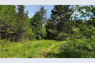 Tbd-B Hwy 169, Virginia, MN 55792 - Photo 13