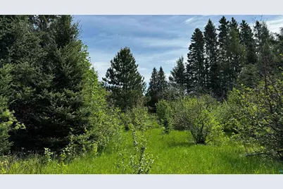 Tbd-B Hwy 169, Virginia, MN 55792 - Photo 9
