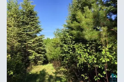 1142 Camp 20 Rd, Hovland, MN 55606 - Photo 3