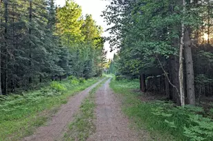 7079 Pike River Rd, Embarrass, MN 55732 - Photo 23