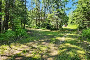 117 Tower Rd, Hovland, MN 55606 - Photo 41