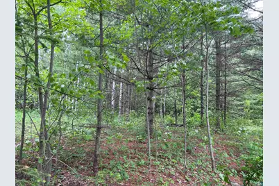Xxx Rice Ave, Bayfield, WI 54814 - Photo 3