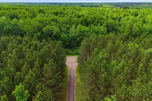 41 E Stark Rd, Esko, MN 55733 - Photo 19