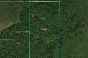 8680 Lambert Rd, Cotton, MN 55724 - Photo 5